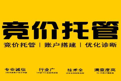 高效SEM推广代运营：提升品牌知名度的秘诀